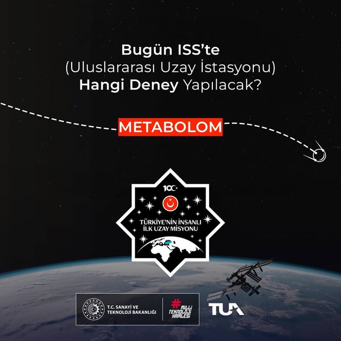 1. resim