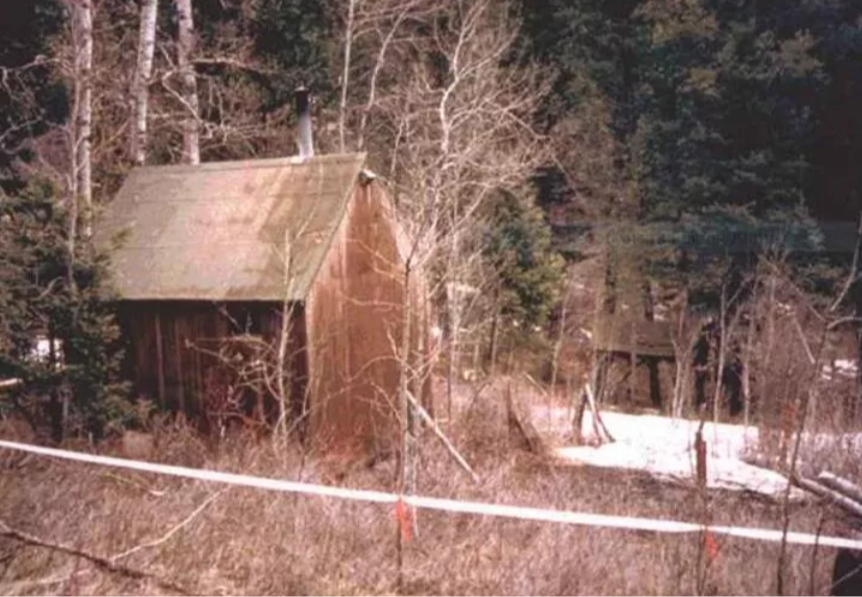 Montana'daki kulübe<br>