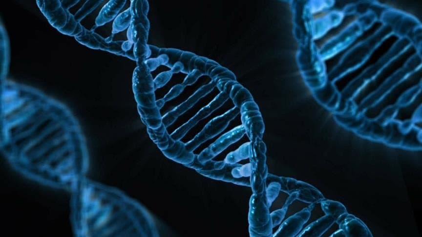 DeepMind, yapay zeka ile hastalığa yol açan genleri tanımlıyor