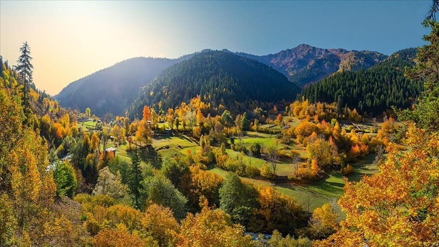Ormanlar turizme açılıyor