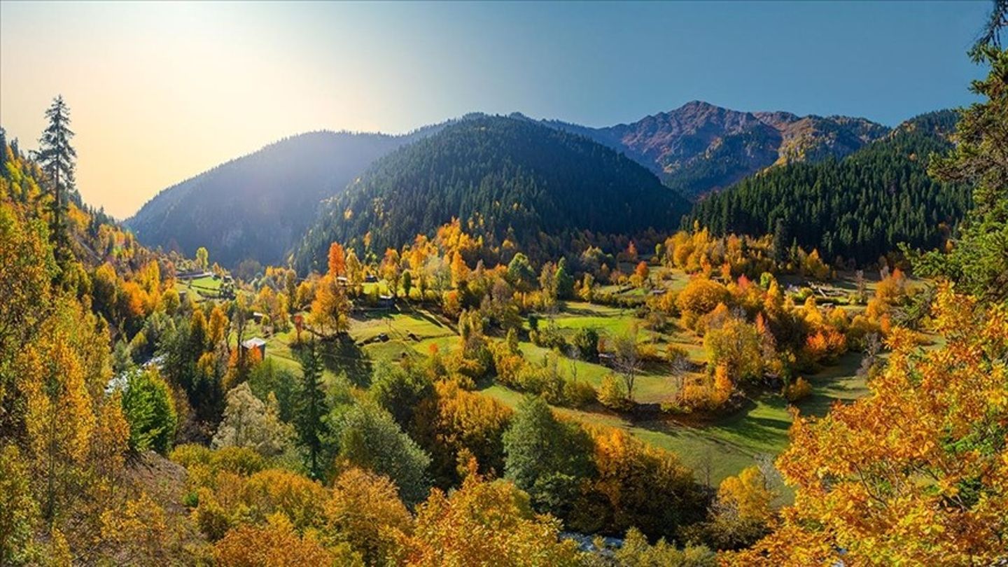Ormanlar turizme açılıyor