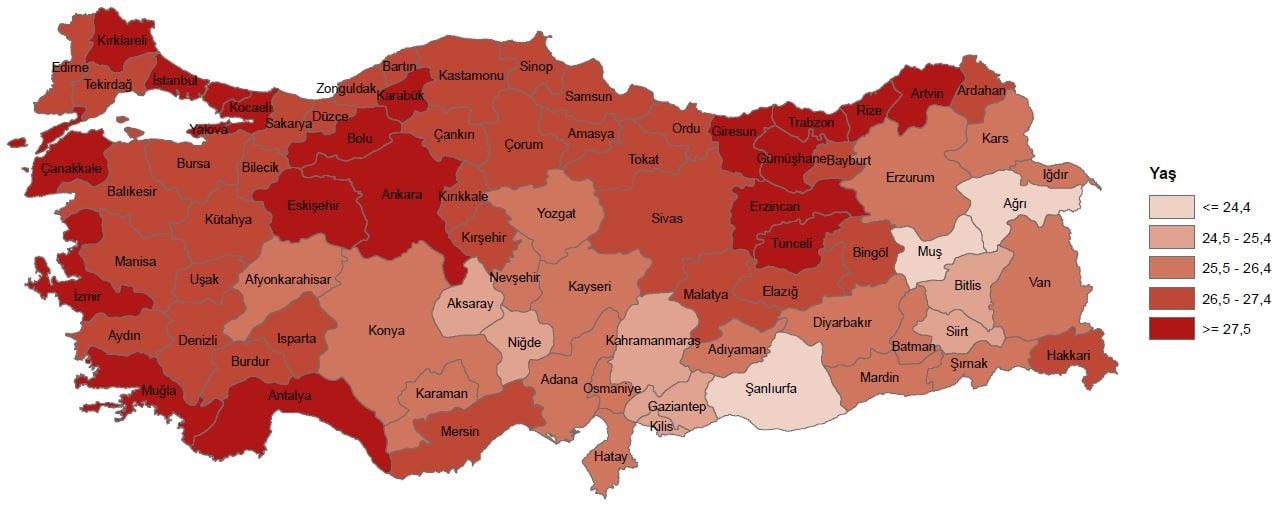 Doğumların %3,3'ü çoğul doğum olarak gerçekleşti