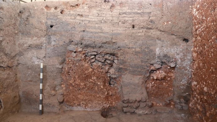 Dünyanın bilinen en eski ağrı kesicileri Küllüoba'da bulundu