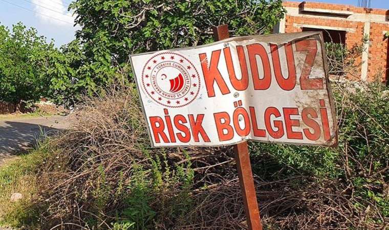 Artvin'de sahibini ısıran köpek kuduz çıktı, 3 köye karantina