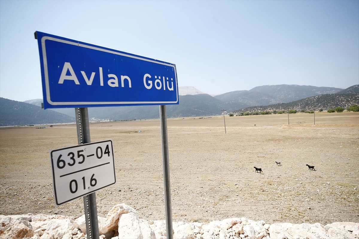 Avlan Gölü'nde suların çekildiği bölüm otlak haline geldi