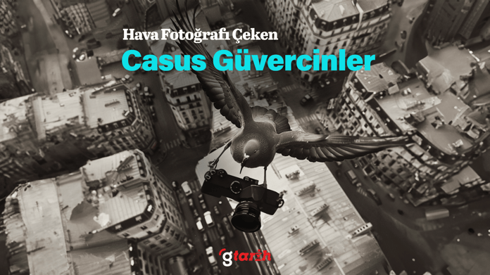 Hava fotoğrafı çeken casus güvercinler