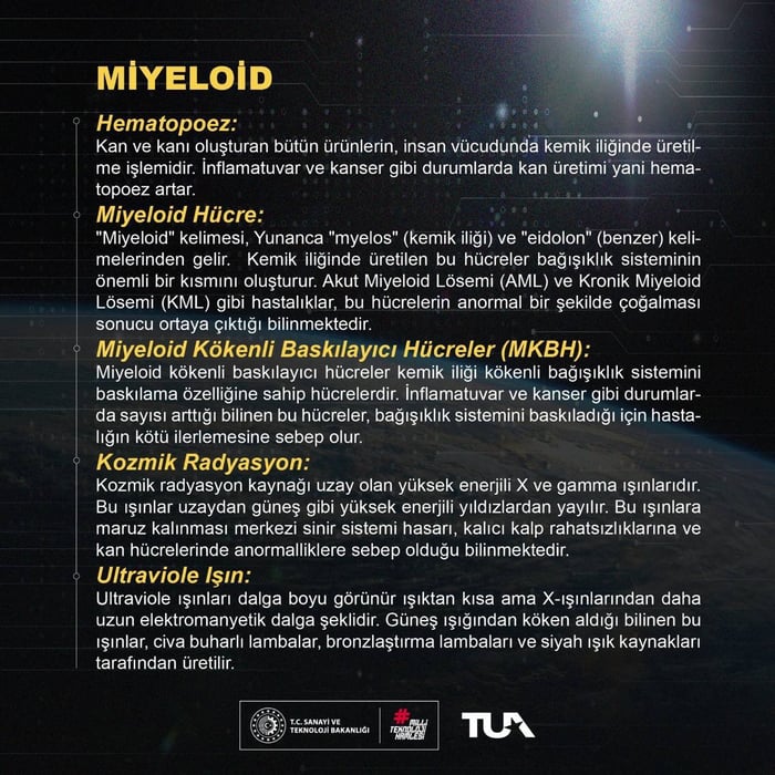 2. resim