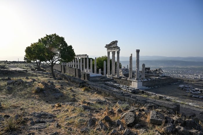 1. resim