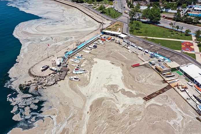 Marmara Denizi'ne kıyısı olan belediyelere müsilaj uyarısı