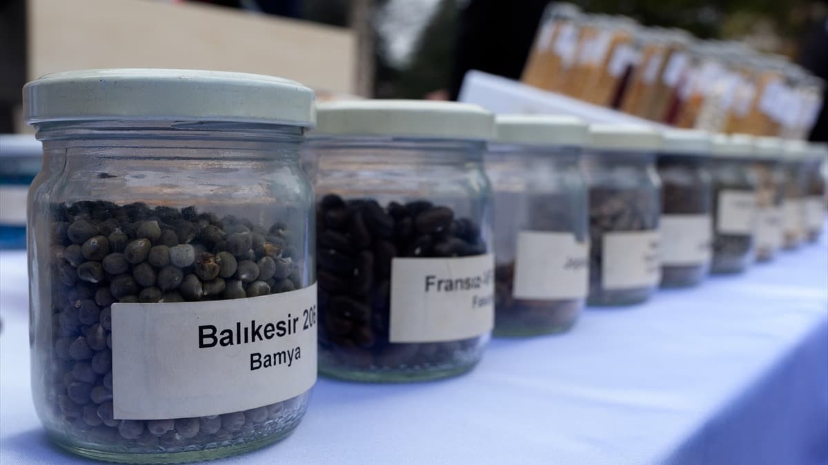 Ata Tohumları, Tarım Kredi Marketlerinde satışa sunulacak