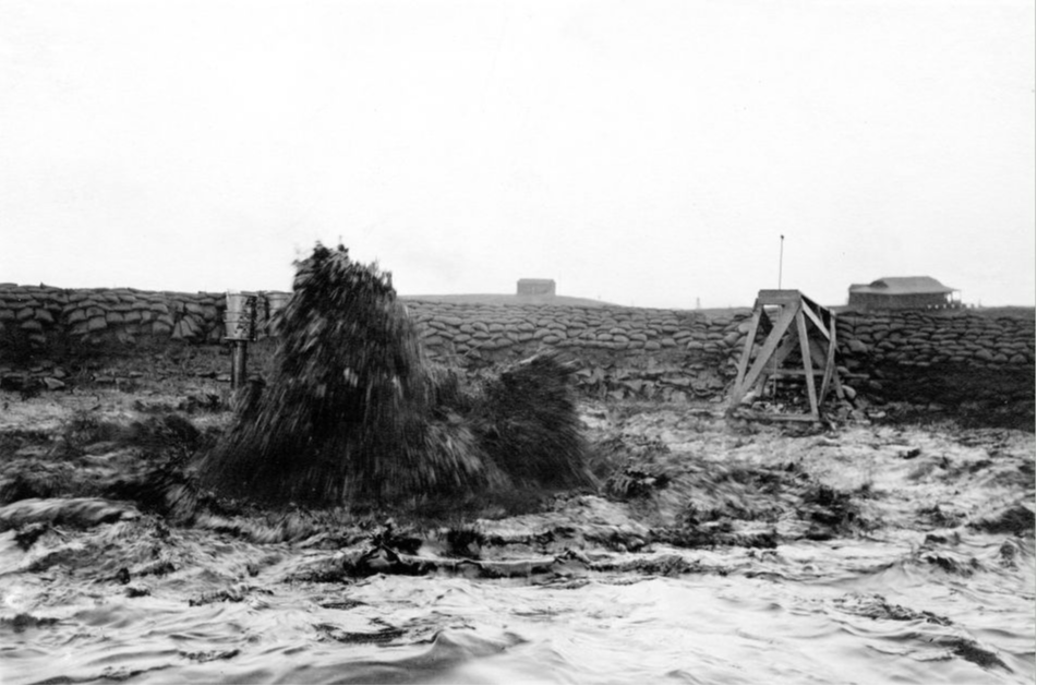 Lakeview Gusher ölme aşamasında.