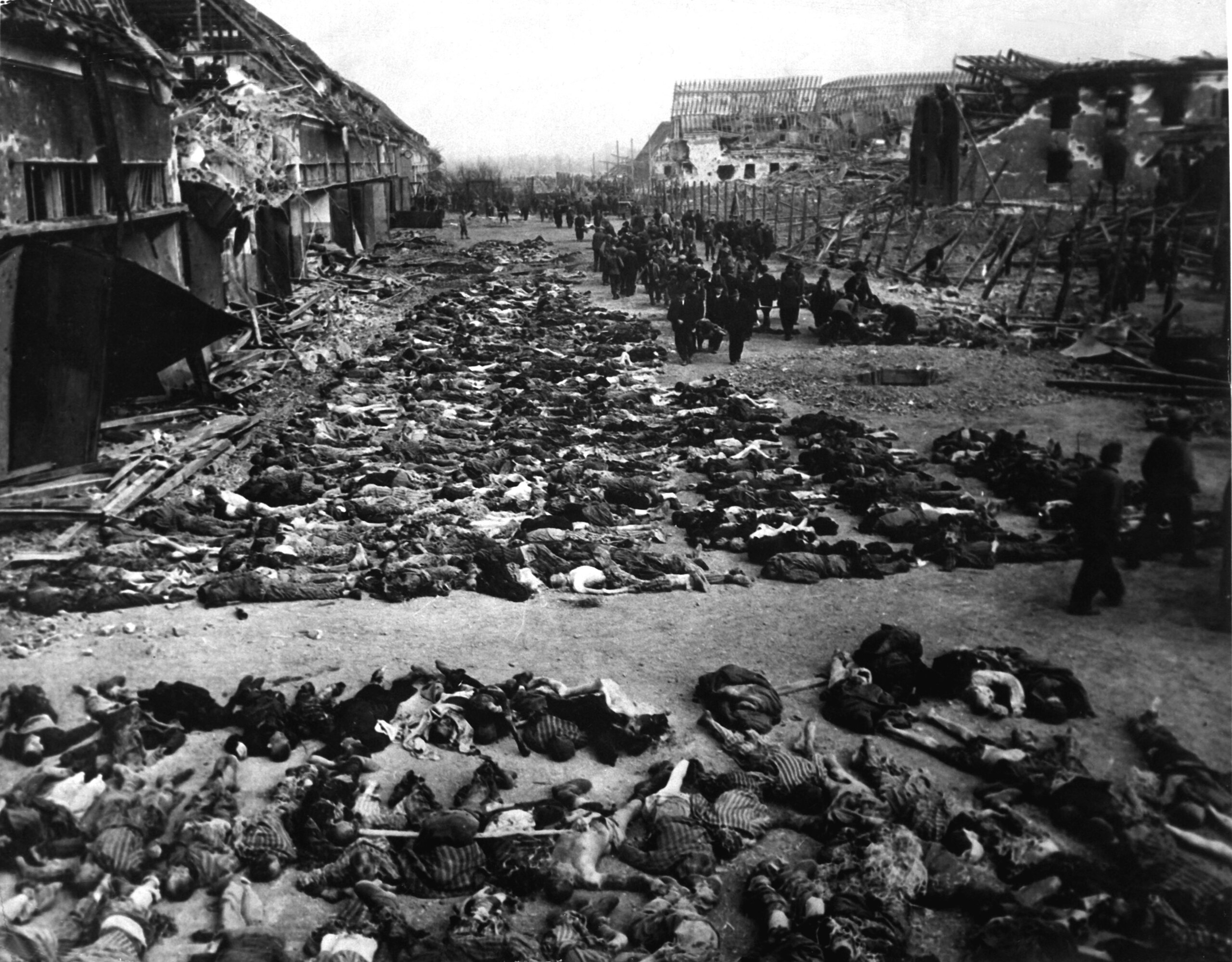 20.000 ölü Yahudi mahkum