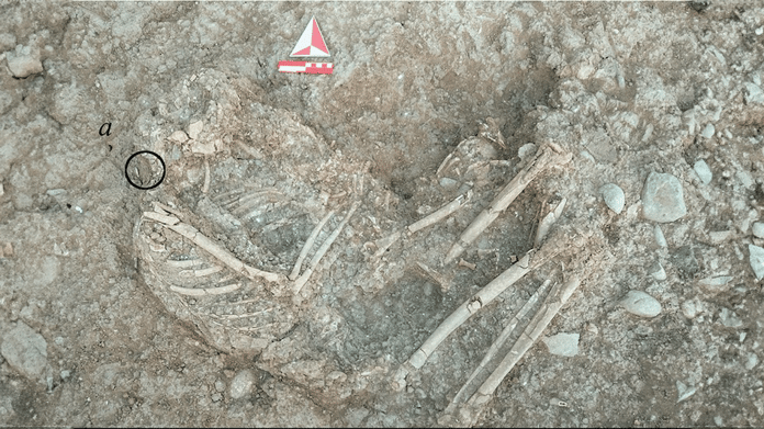 11.000 yıl önce Anadolu’daki insanlar dudak piercingi takıyordu