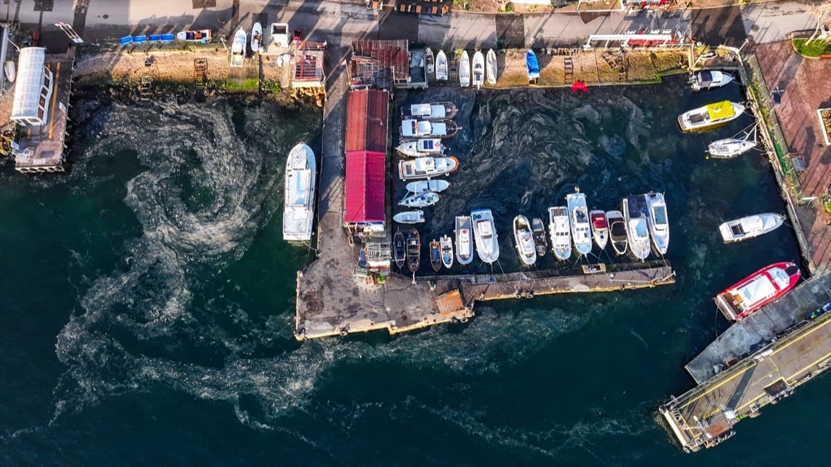 Marmara Denizi'nde müsilaj yeniden hortladı