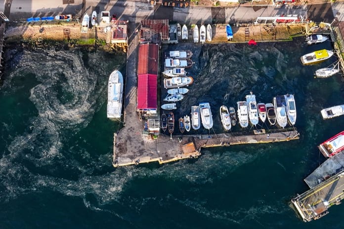 Marmara Denizi'nde müsilaj yeniden hortladı