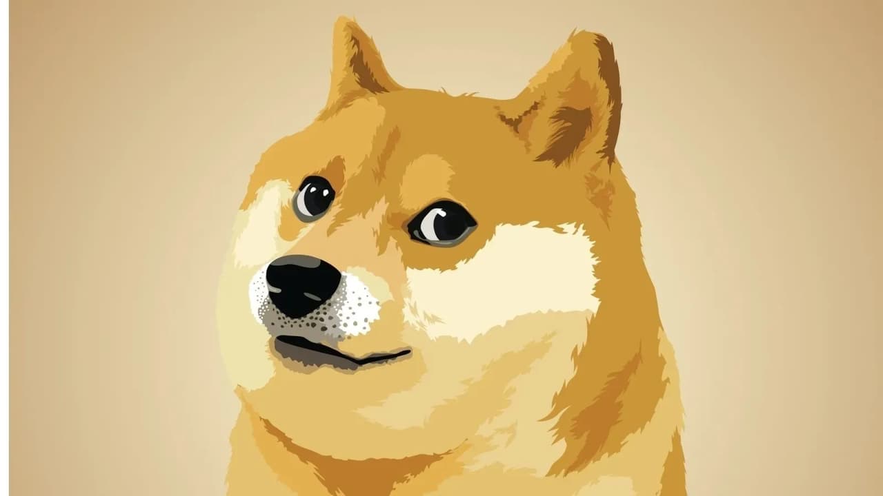 Elon Musk’ın DOGE’sin de son durum | Dogecoin kaç dolar, kaç TL? Dogecoin’in geleceği merak ediliyor