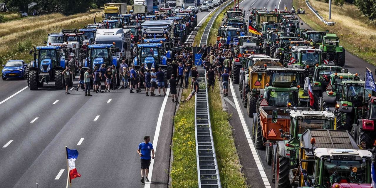 Hollanda'da çiftçi krizi