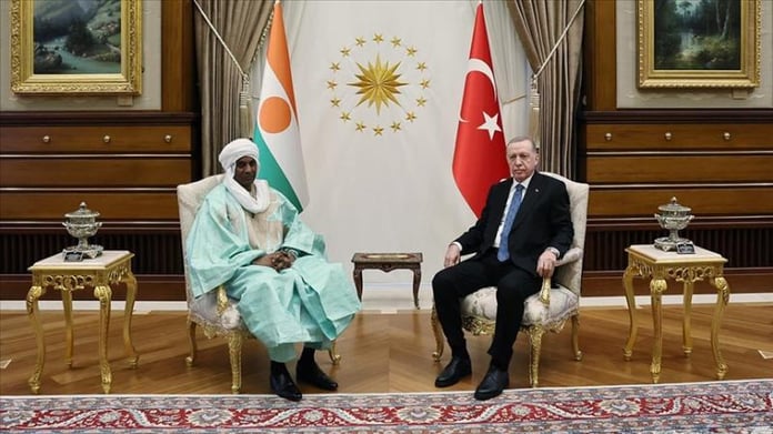 Nijer: Türkiye bize sahip çıktı