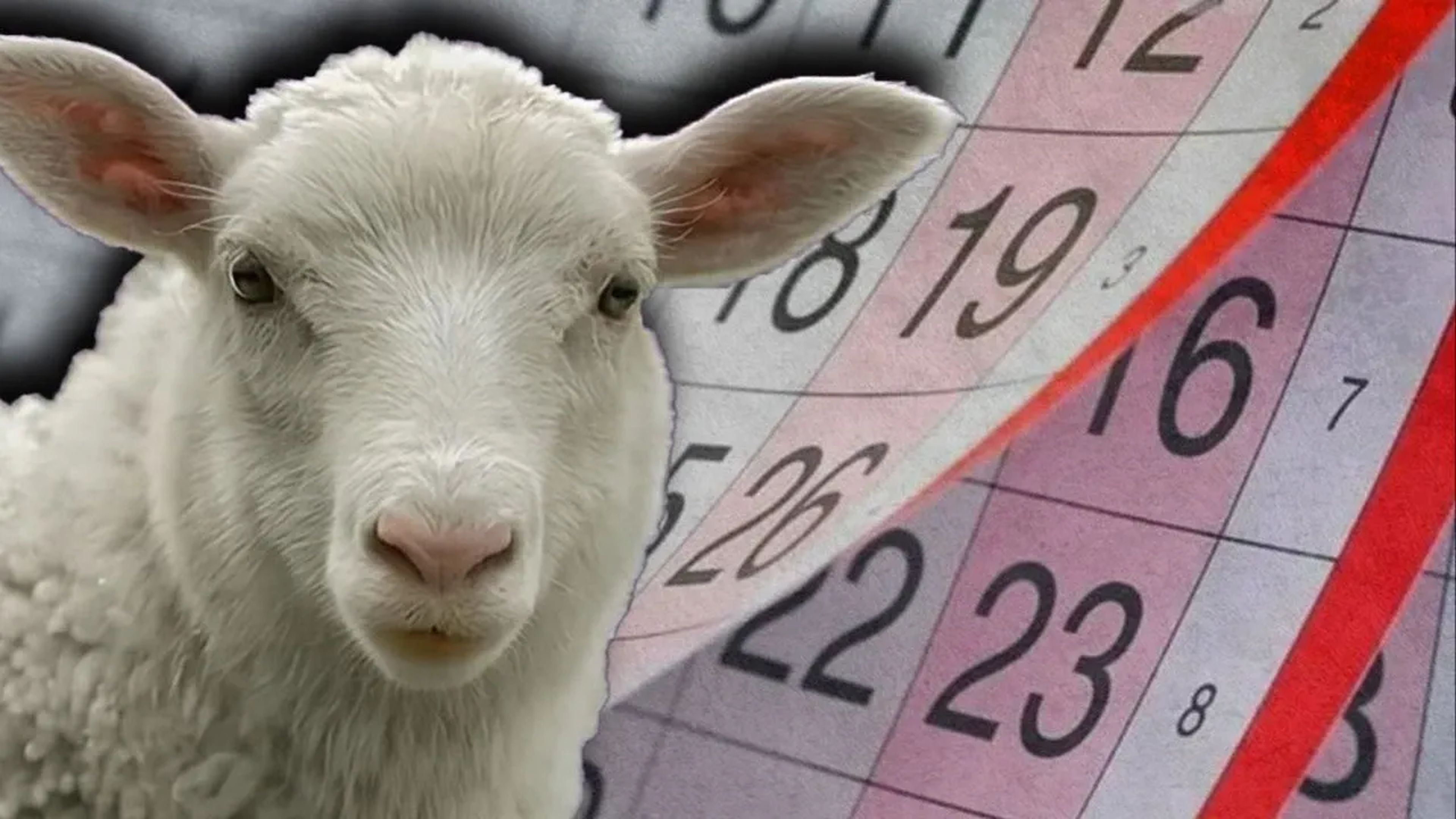 2025 Ramazan ve Kurban bayramı tarihi yaklaşıyor