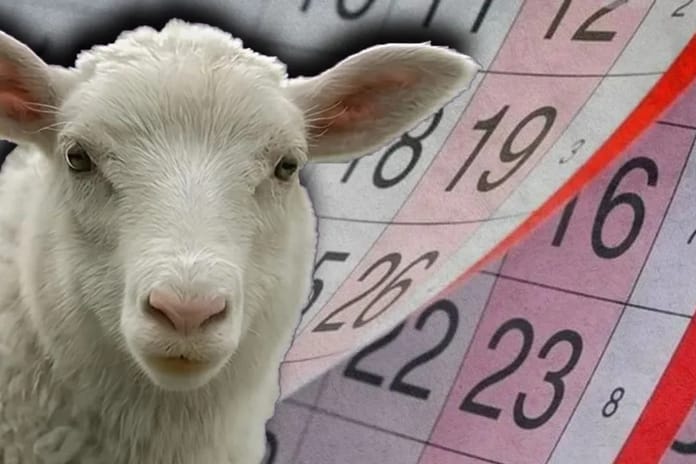 2025 Ramazan ve Kurban bayramı tarihi yaklaşıyor