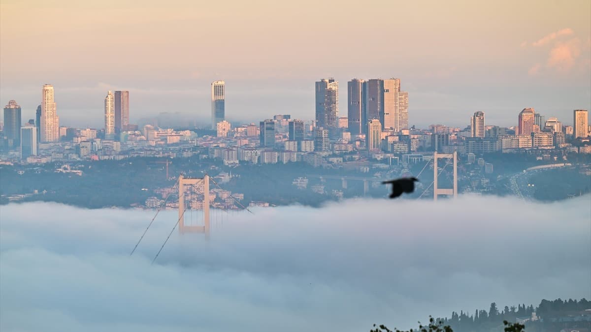 İstanbul Şehir Hatları seferleri iptal, gemi trafiği askıya alındı