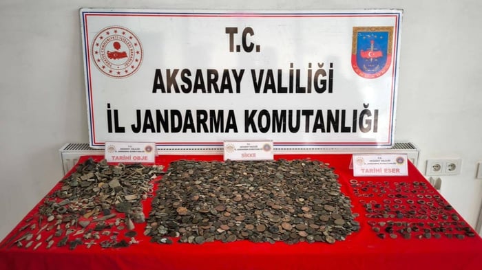 1. resim