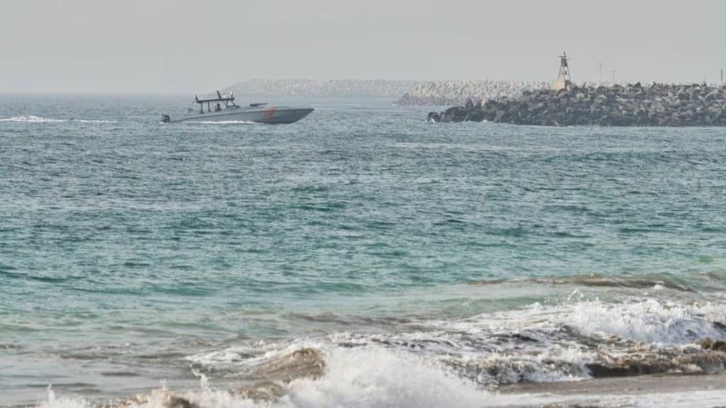BAE, İtalya ile ortak girişiminden 10 devriye gemisi satın aldı