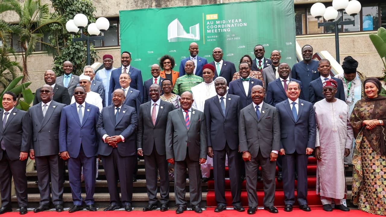 Project-Syndicate: Afrika Birliği G20 üyeliğine hazırlanmalı