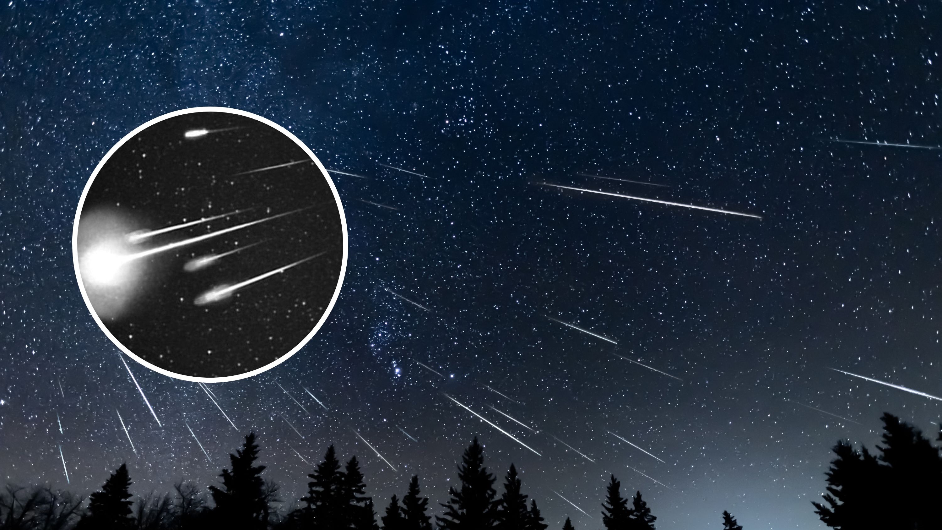 Leonid Meteor Yağmuru