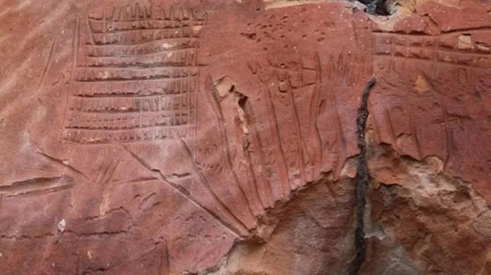 Brezilya’da 16 yeni antik kaya sanatı alanı tespit edildi