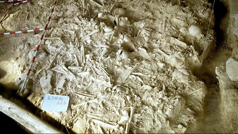 Avrupa'da ilk savaş 5000 yıldan daha önce gerçekleşti