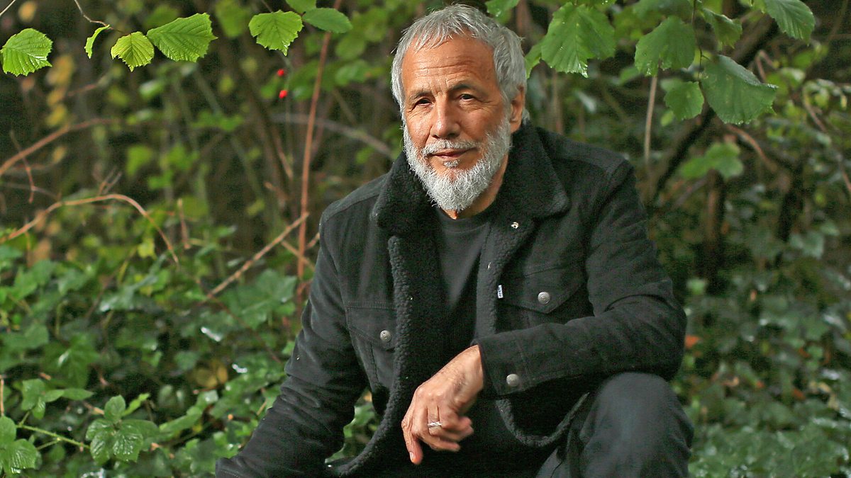 Yusuf İslam