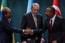 The National Interest: Türkiye Afrika Boynuzu'nda Mısır ve ABD'yi nasıl alt etti?