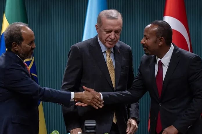 The National Interest: Türkiye Afrika Boynuzu'nda Mısır ve ABD'yi nasıl alt etti?