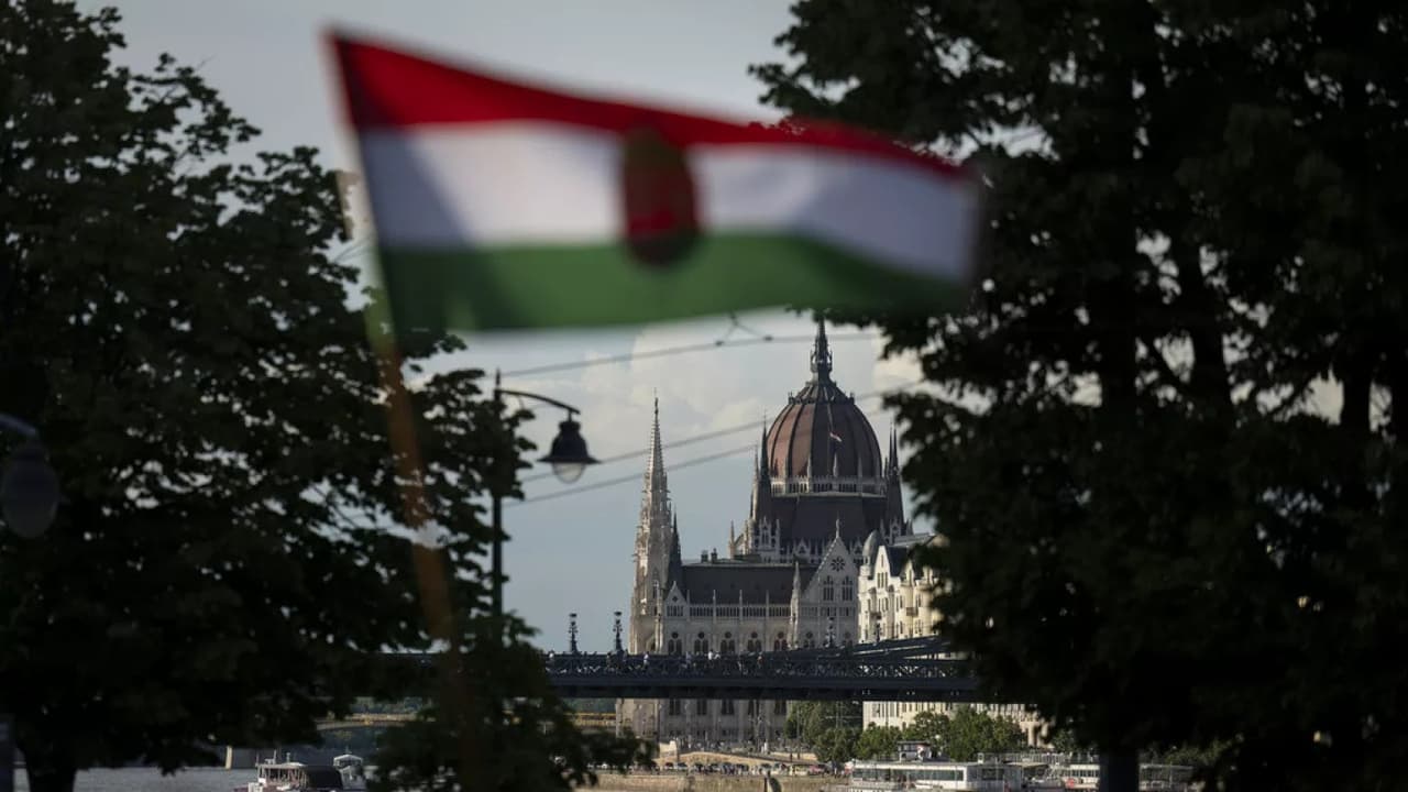 Macaristan'ın savunma tedarik kurumu hacklendi