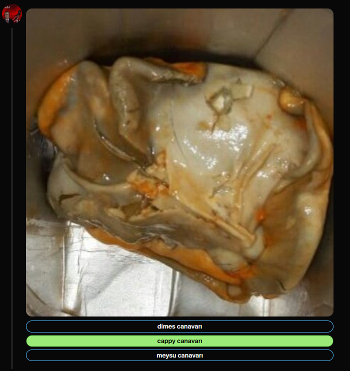 Twitter Dili ve Edebiyatı testi&nbsp;