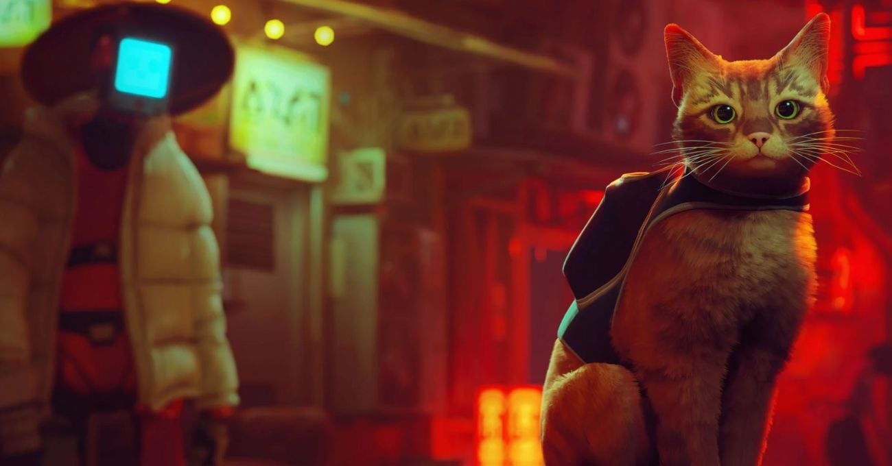 Bir kedi rolünde oynadığınız 