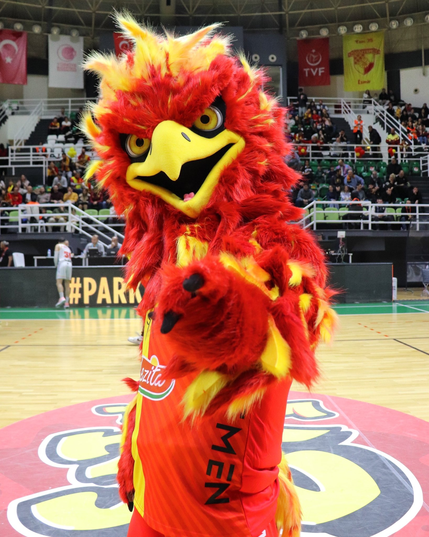 K'ANKA. Fotoğraf: Göztepe Basketbol