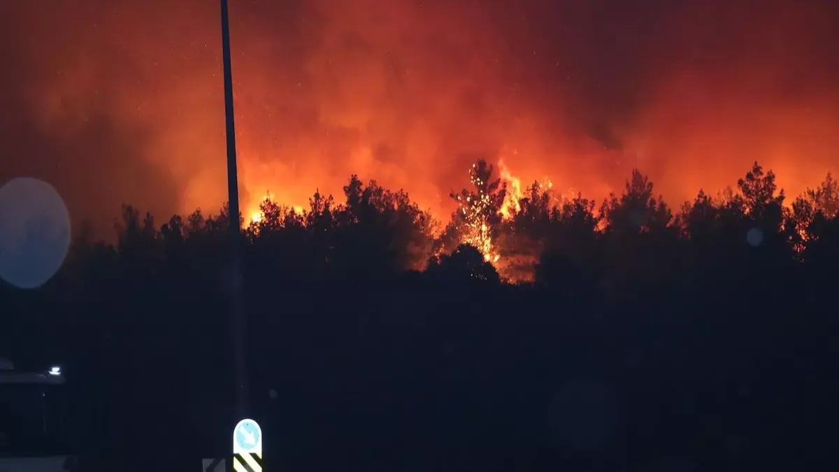 Kuşadası yangın son dakika canlı