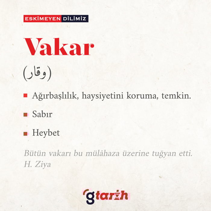 1. resim
