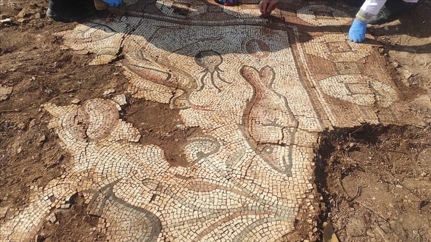 Mardin'de kurtarma kazısında deniz canlıları mozaikleri bulundu