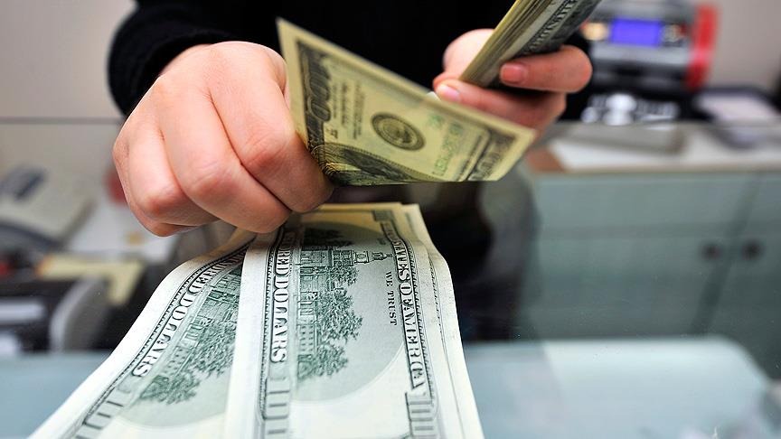 Bankalardaki döviz mevduatı nette geriledi