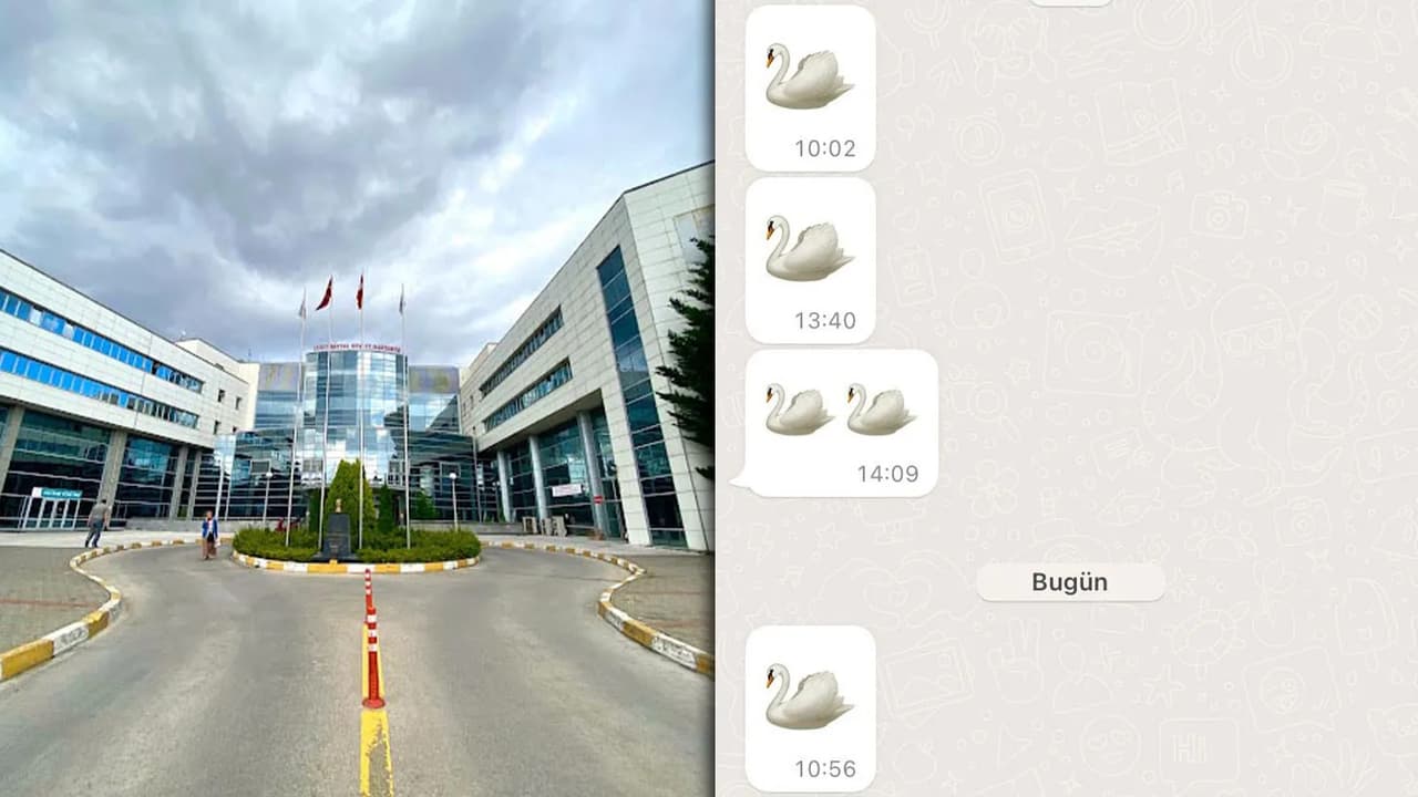 Doktorlara soruşturma: İlaç başına mümessil kuğu emojisi!