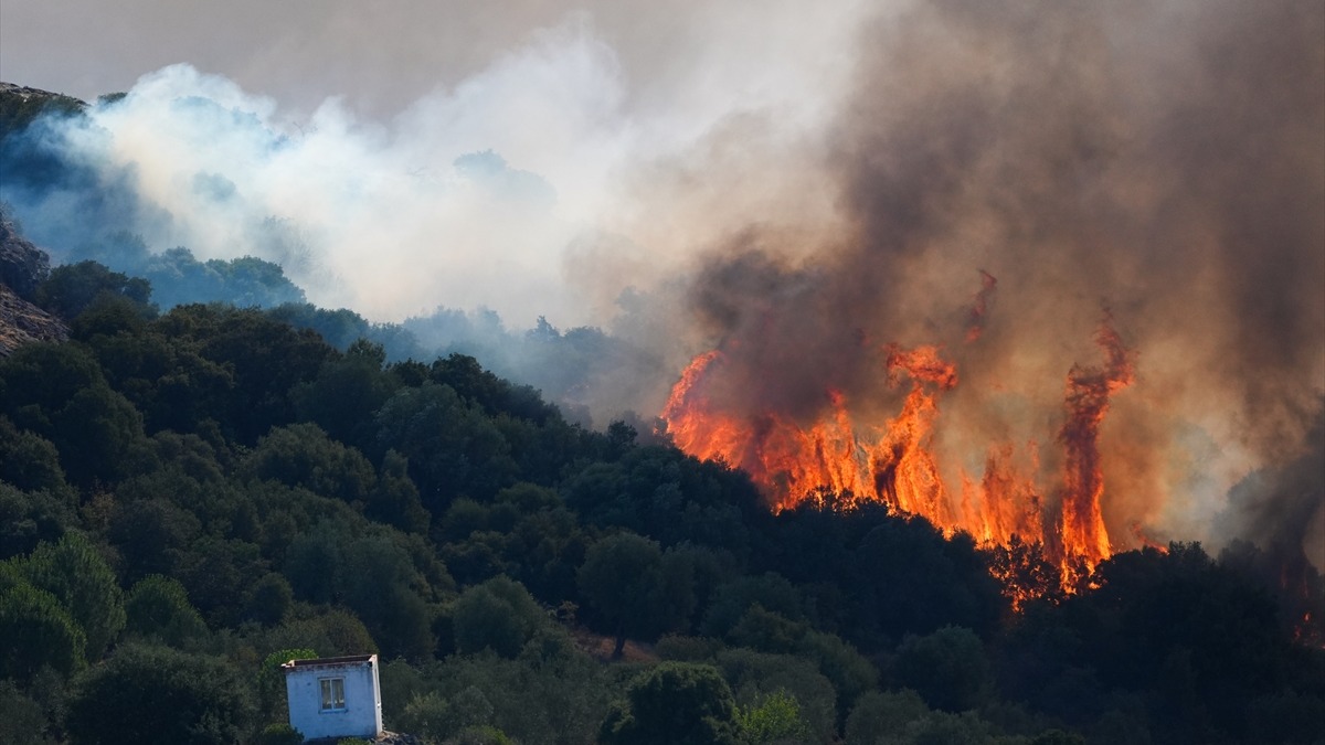 İzmir yangın son dakika!