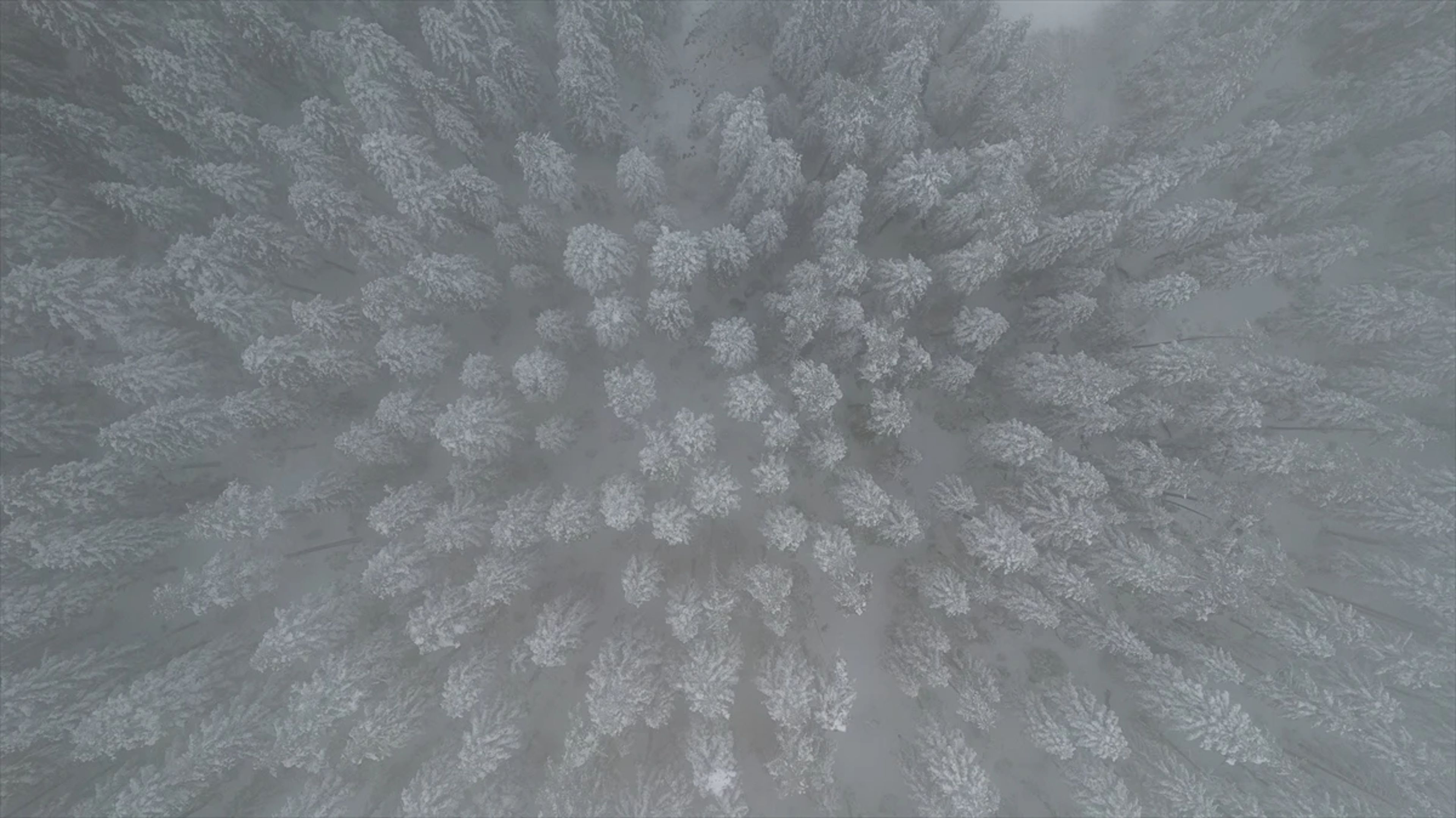 Galeri Fotoğrafı