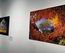 "Kültürler Arası Köprüler" sergisi sanatseverlerle buluştu