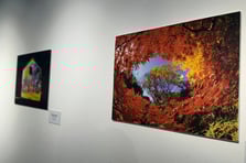 "Kültürler Arası Köprüler" sergisi sanatseverlerle buluştu