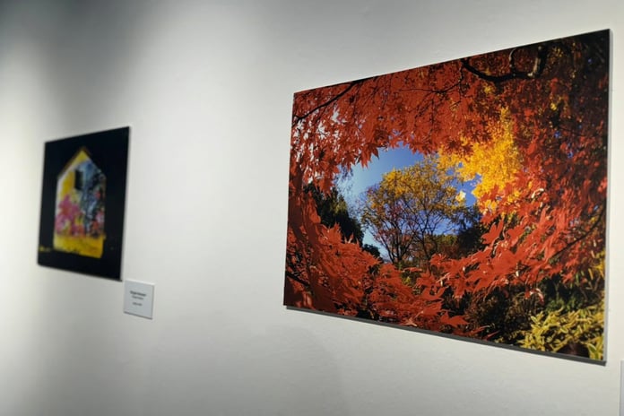 "Kültürler Arası Köprüler" sergisi sanatseverlerle buluştu