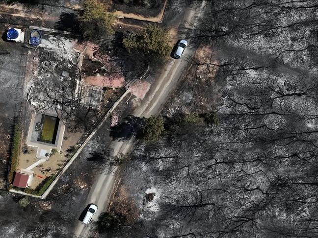 Orman yangınında tadilat faciası: 13 yıla kadar hapis talebi
