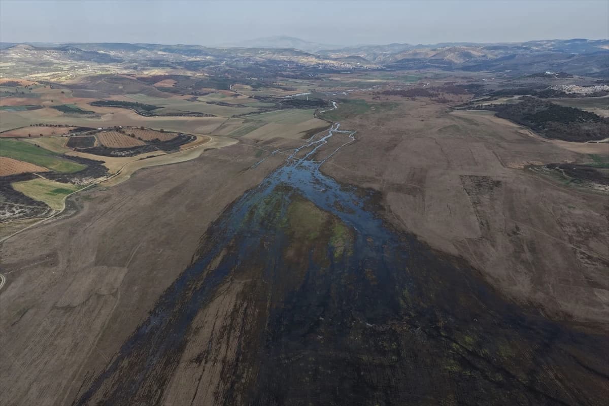 Manisa'daki Demirköprü Barajı yosunla kaplandı